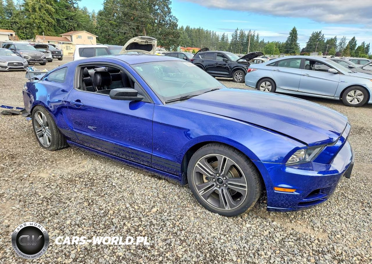 2013 Ford Mustang VIN:1ZVBP8AM1D5202646 - 4