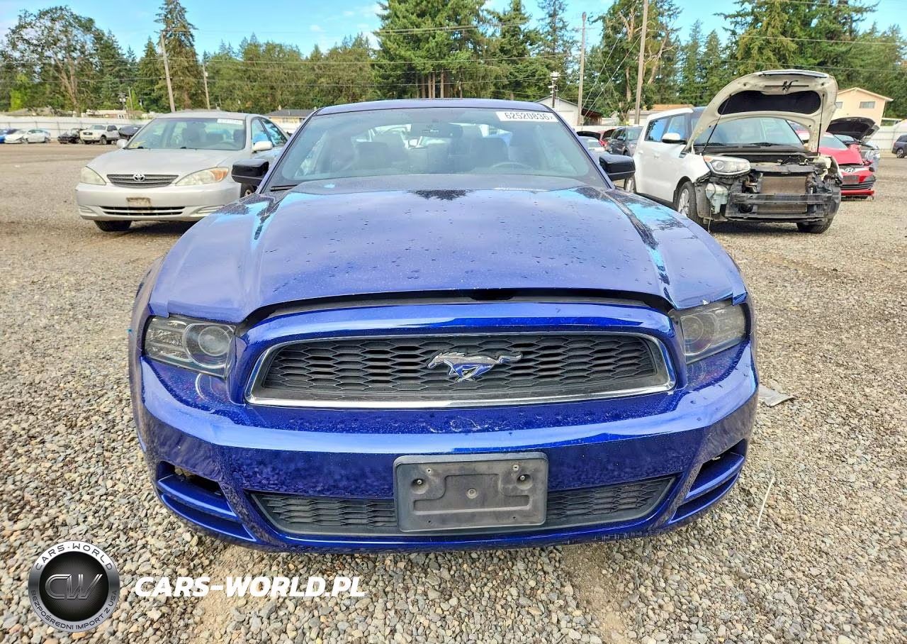 2013 Ford Mustang VIN:1ZVBP8AM1D5202646 - 5