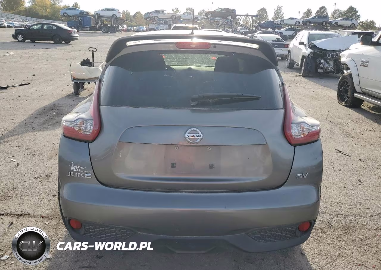 2015 Nissan Juke S VIN:JN8AF5MR9FT501862 - 6