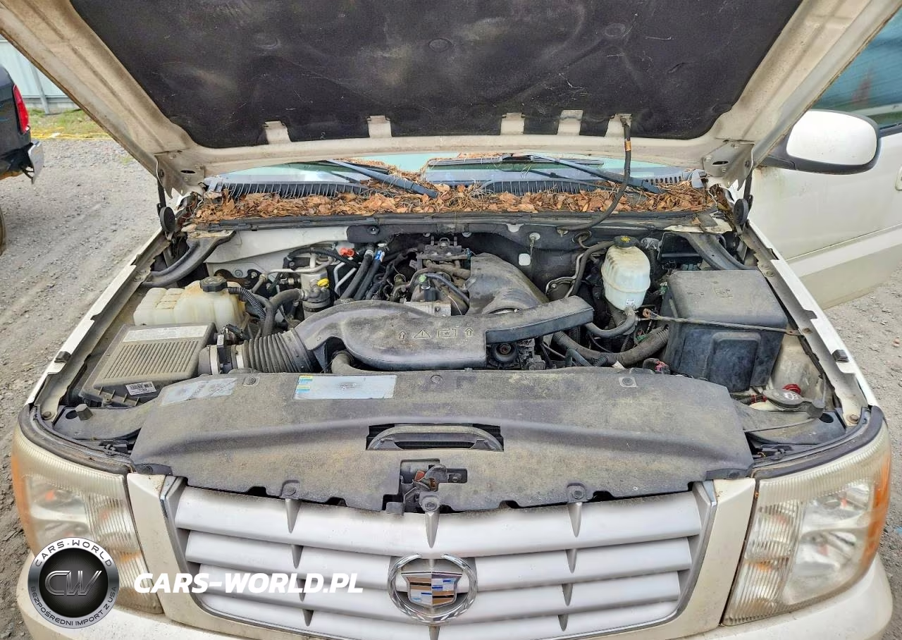 2005 Cadillac Escalade Luxury VIN:1GYEC63N15R258144 - 12