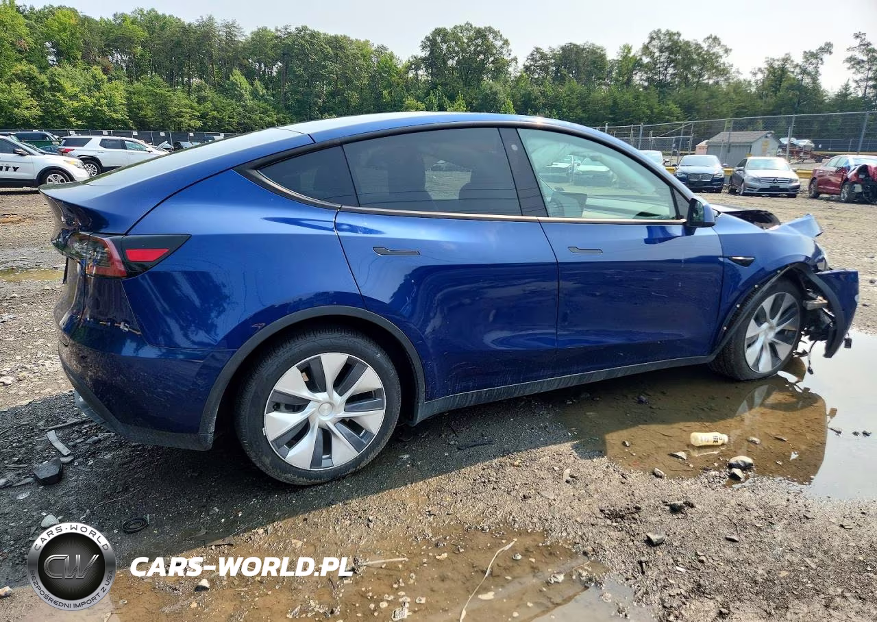 2020 Tesla Model Y VIN:5YJYGDEE5LF030496 - 3