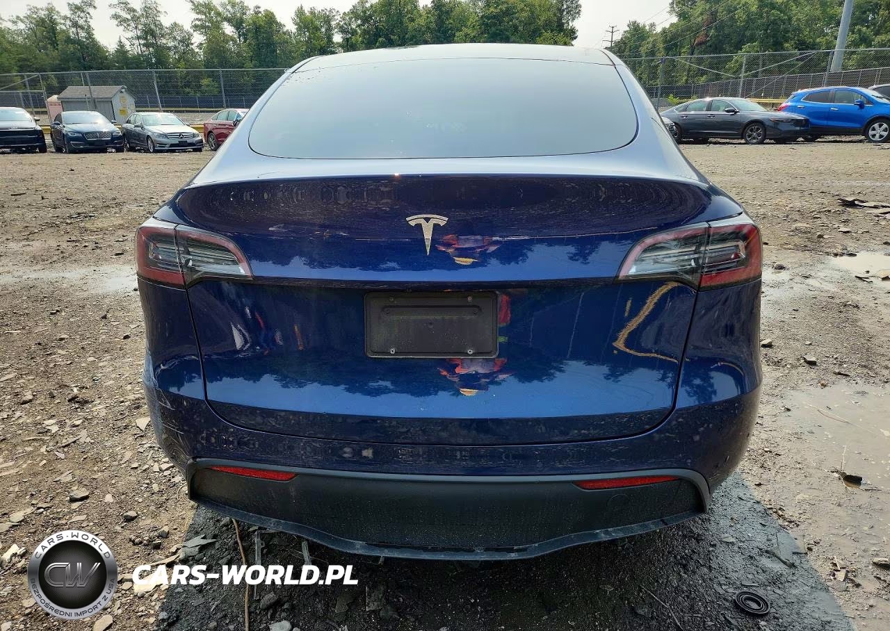 2020 Tesla Model Y VIN:5YJYGDEE5LF030496 - 6