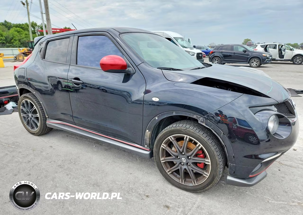 2014 Nissan Juke Nismo Rs VIN:JN8DF5MR0ET100339 - 4
