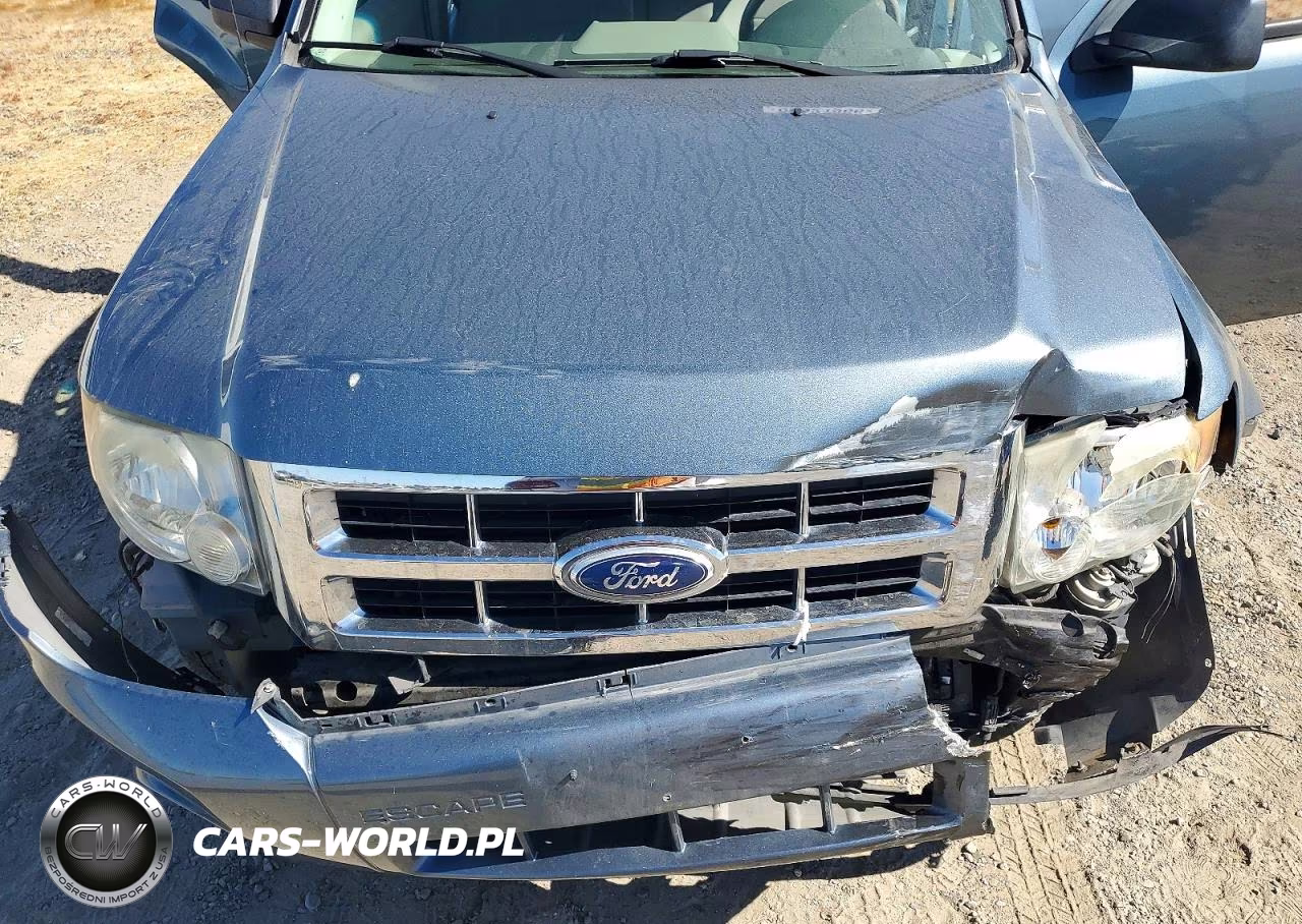 2010 Ford Escape Xlt VIN:1FMCU0D79AKB41742 - 11