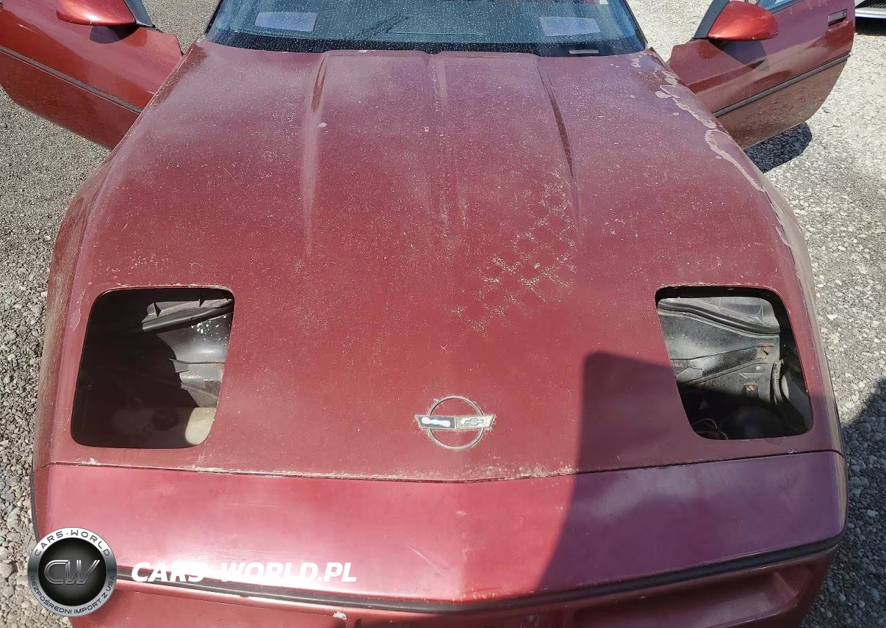 1987 Chevrolet Corvette VIN:1G1YY2181H5114950 - 11