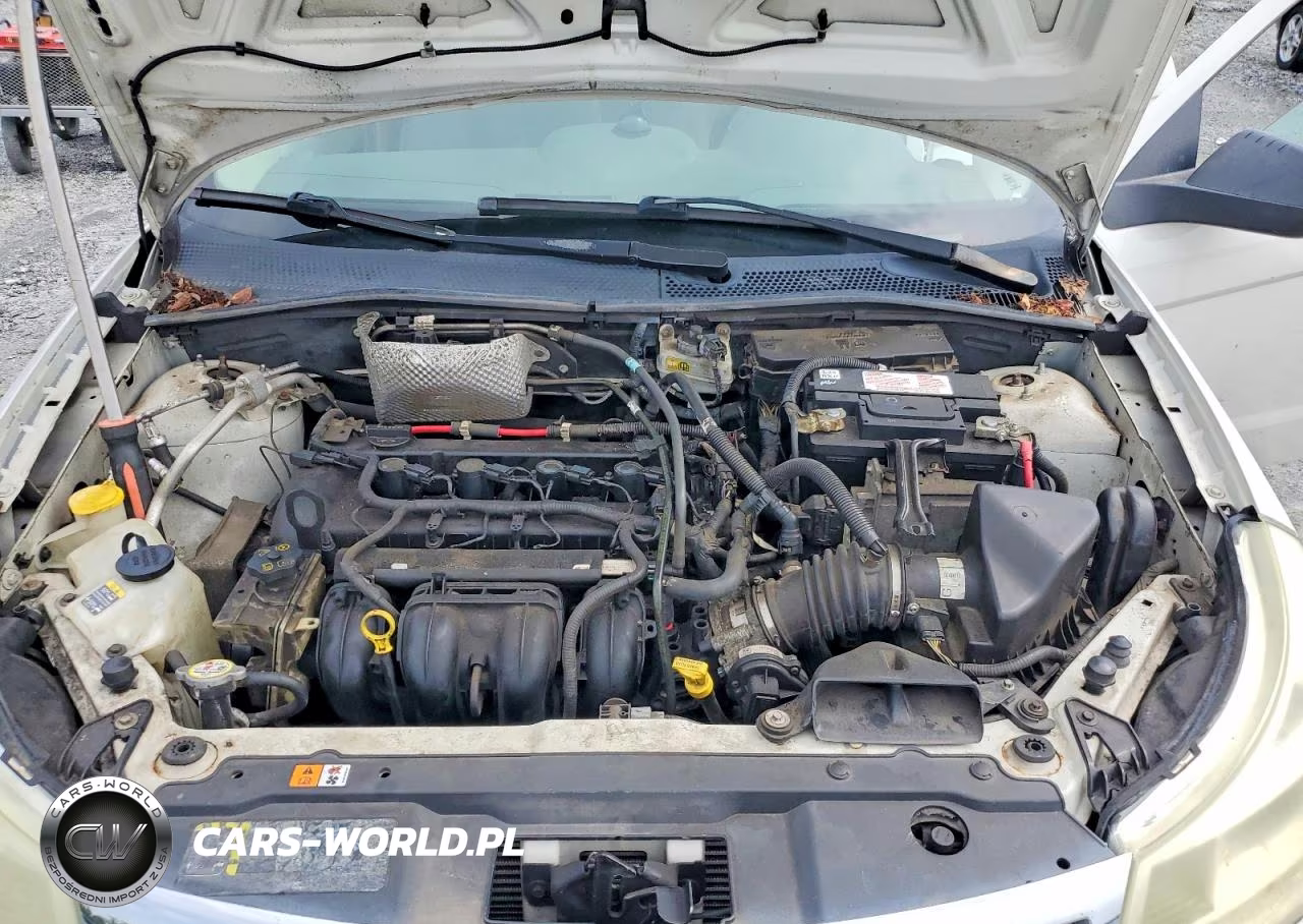 2010 Ford Focus S VIN:1FAHP3EN9AW230306 - 11
