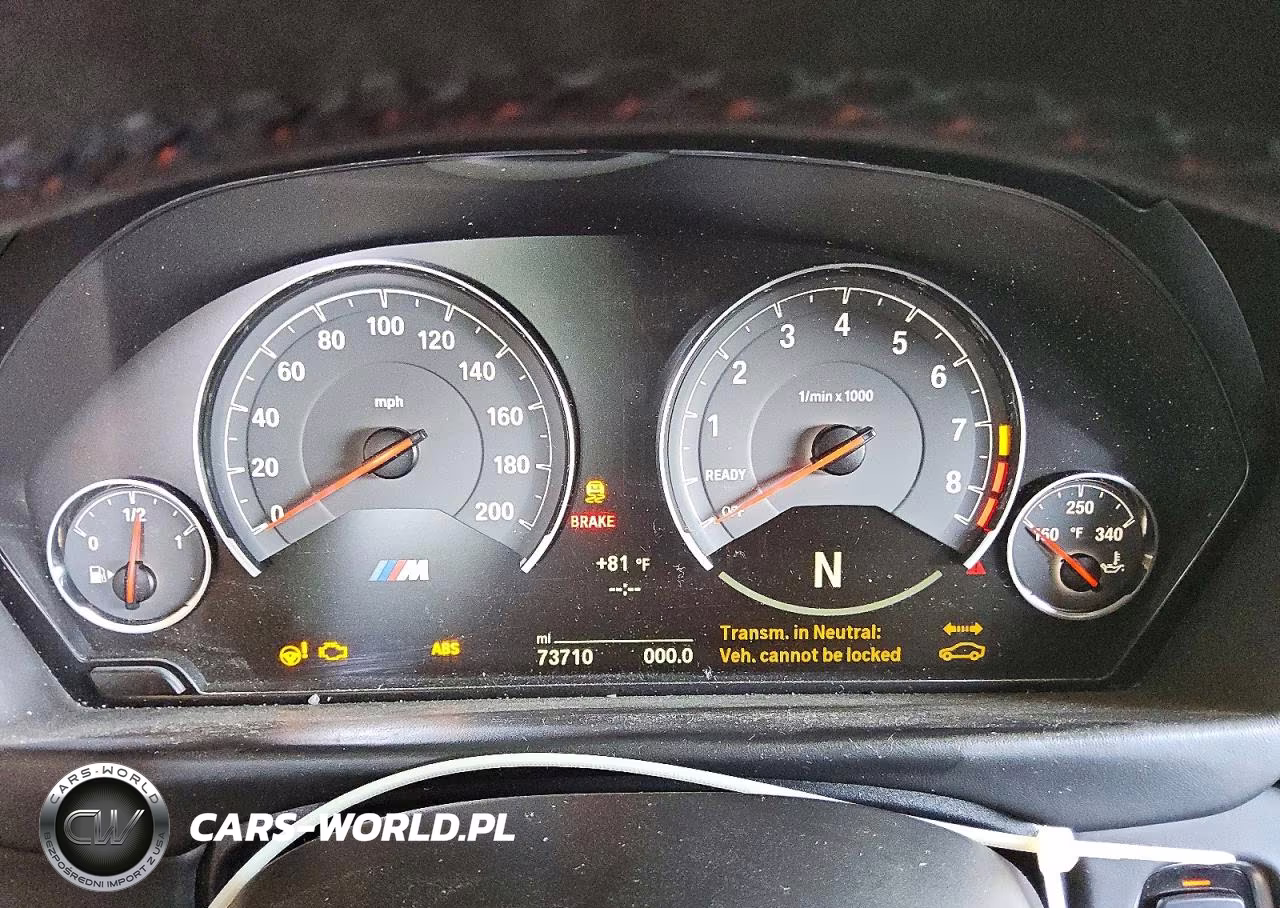 2016 BMW M4 Gts VIN:WBS4S9C56GK578859 - 9