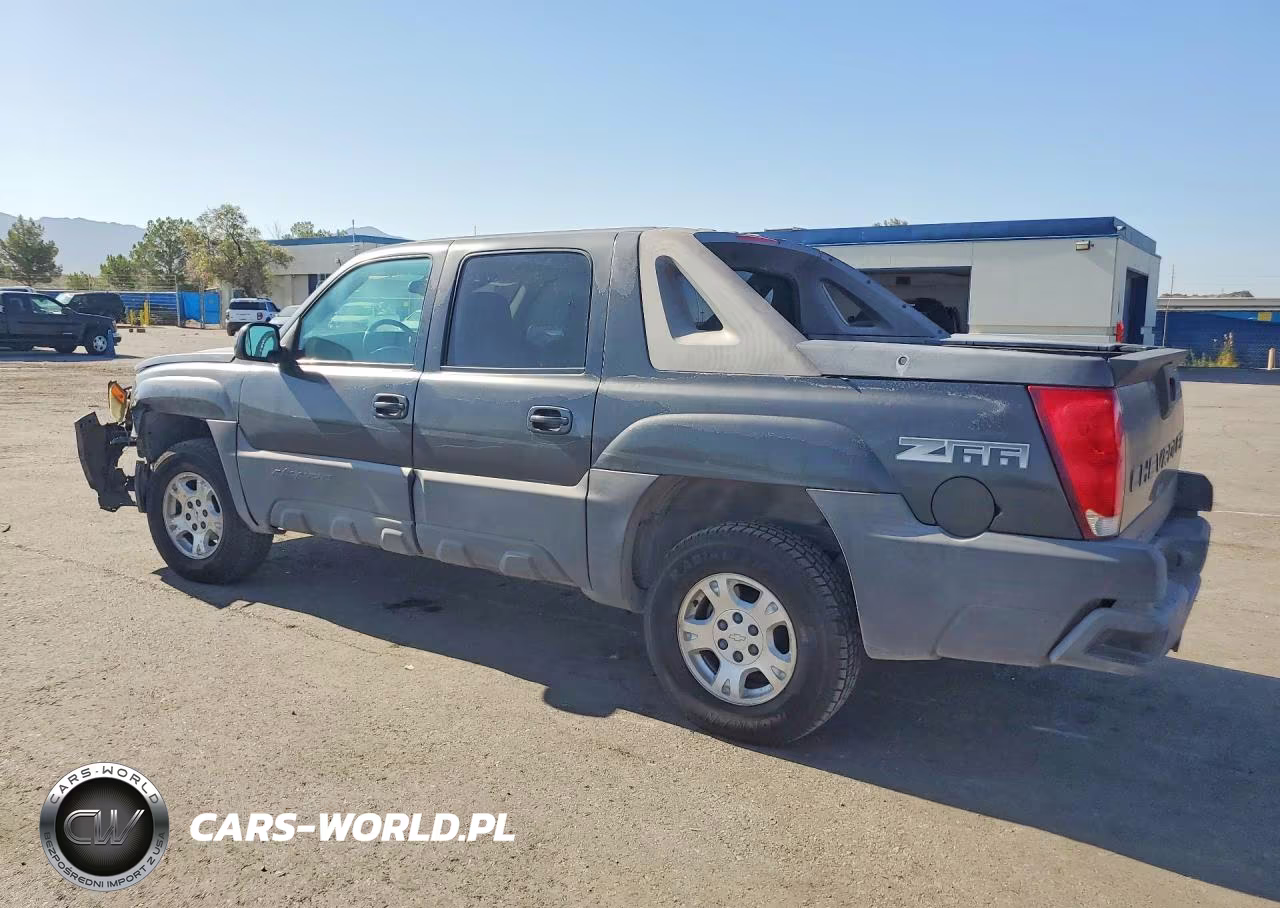 2004 Chevrolet Avalanche C1500 VIN:3GNEC12T24G101446 - 2