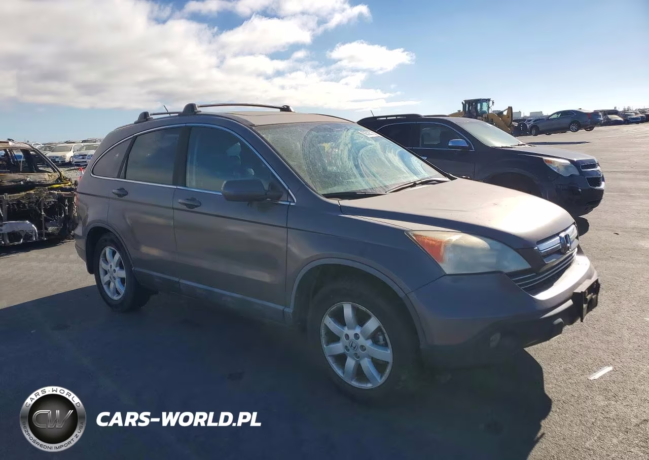 2009 Honda Cr-V Exl VIN:5J6RE48739L014174 - 4