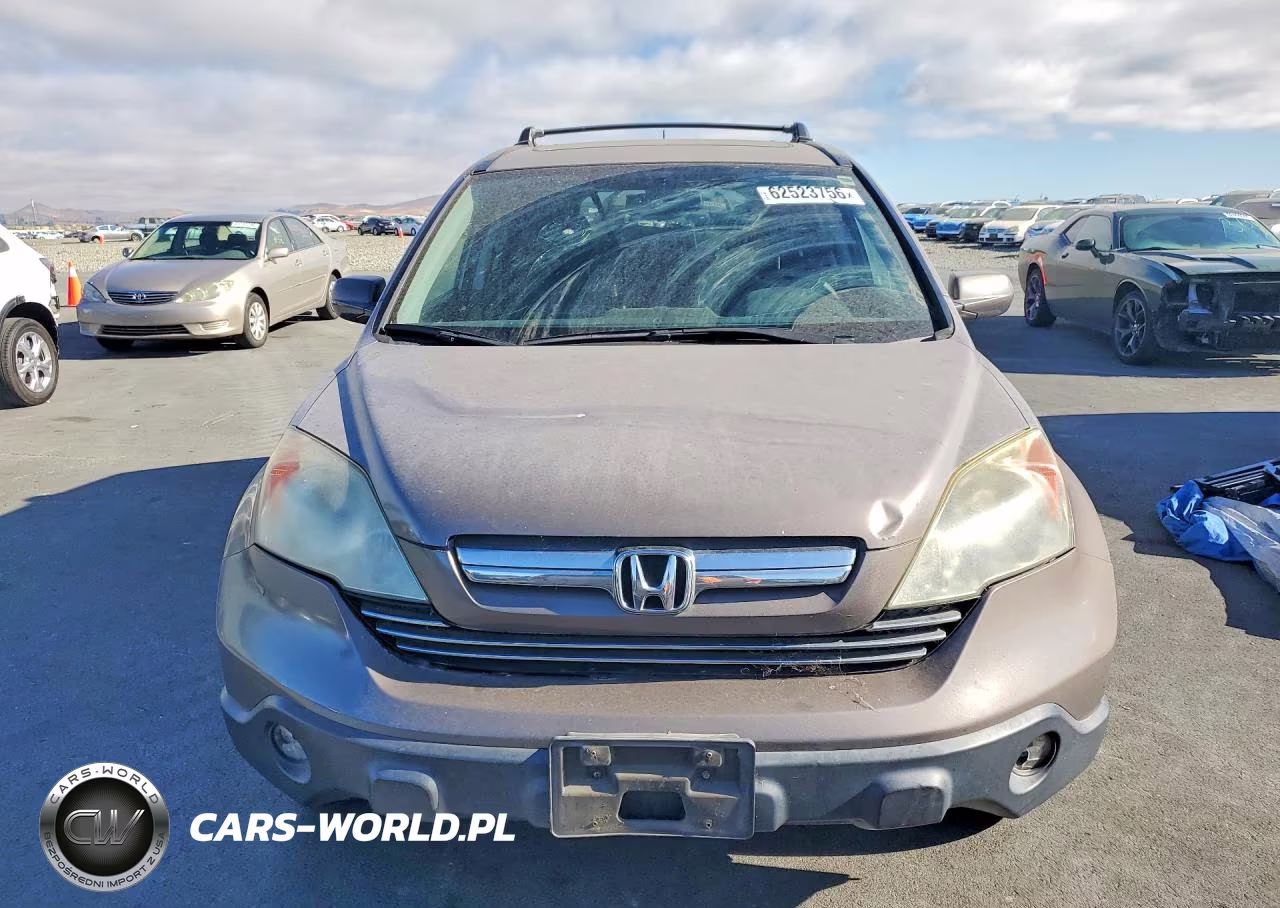 2009 Honda Cr-V Exl VIN:5J6RE48739L014174 - 5