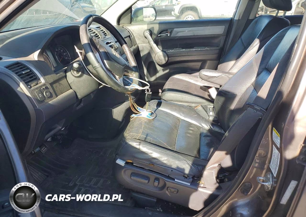 2009 Honda Cr-V Exl VIN:5J6RE48739L014174 - 7