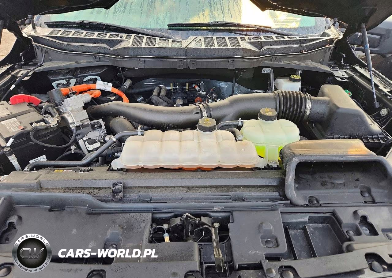2024 Ford F150 Xlt VIN:1FTFW3LD3RFB45066 - 11