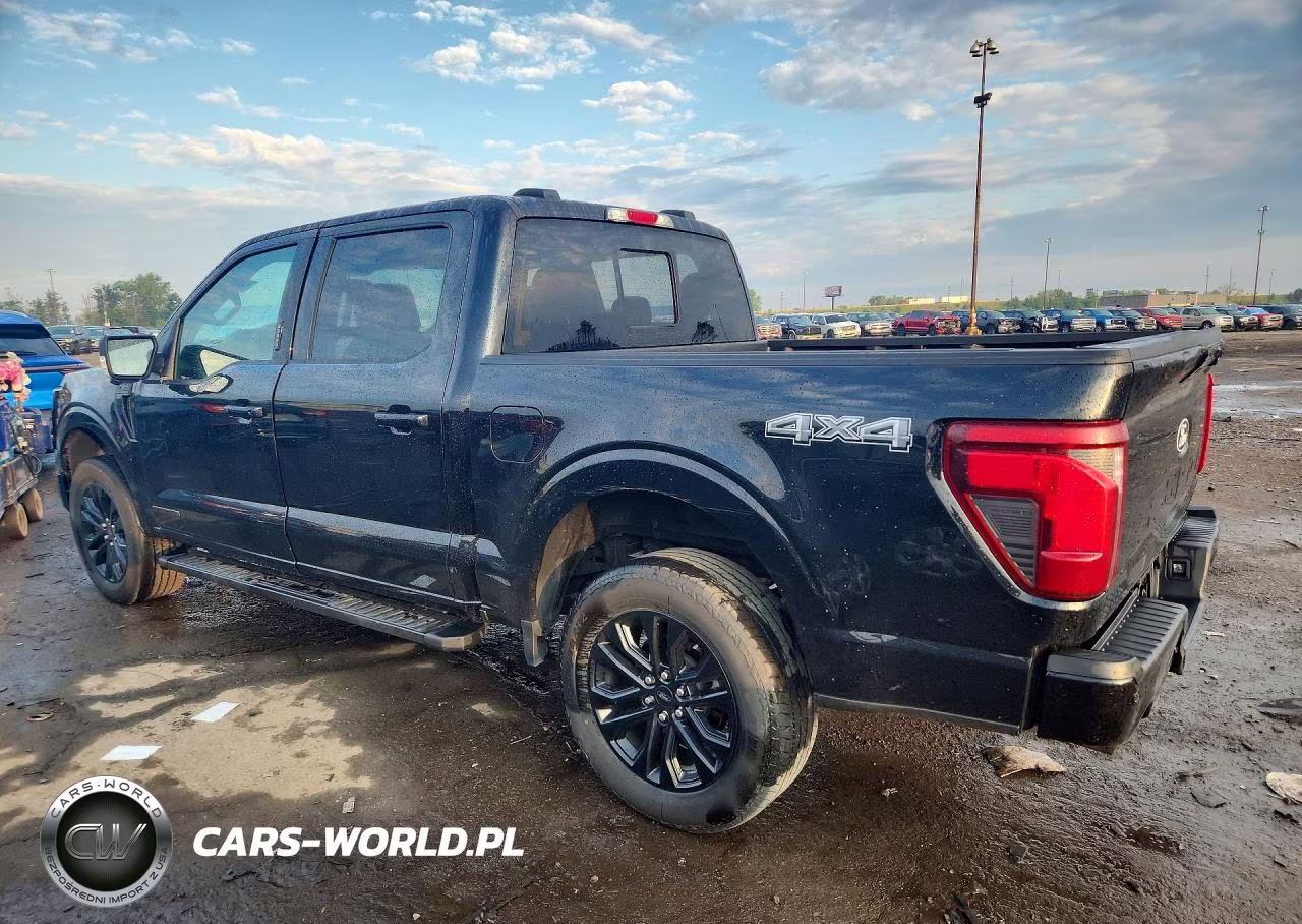 2024 Ford F150 Xlt VIN:1FTFW3LD3RFB45066 - 2