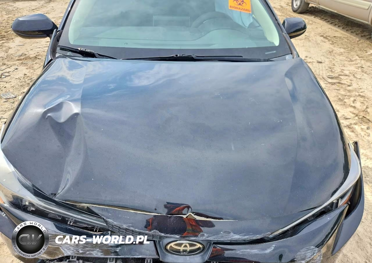 2021 Toyota Corolla Le VIN:5YFEPMAE5MP175004 - 11