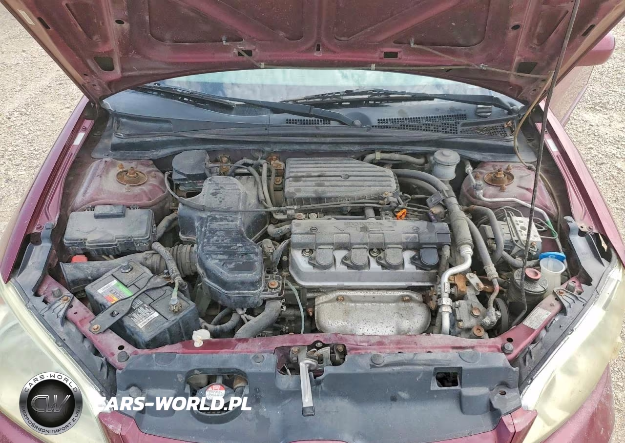 2004 Honda Civic Ex VIN:1HGES26854L019481 - 11