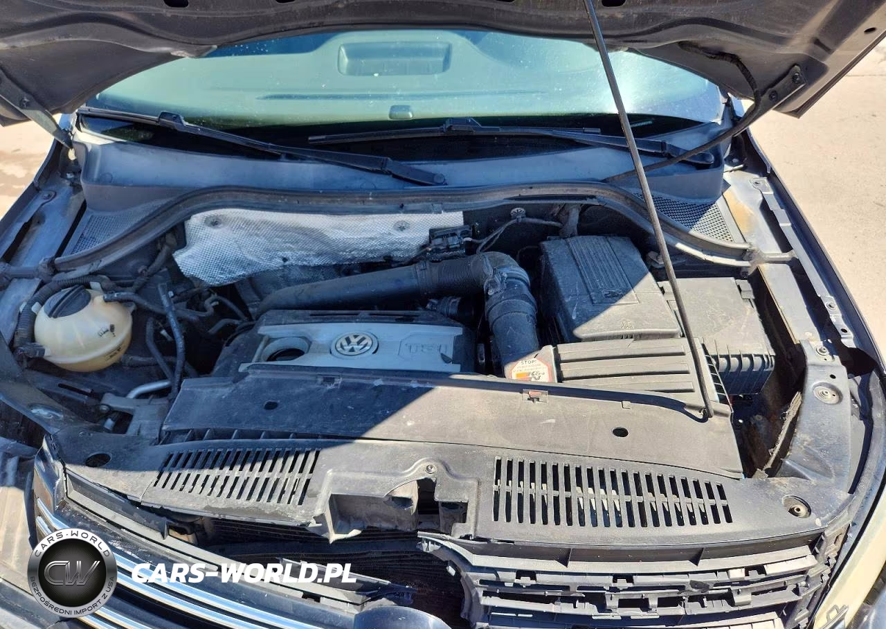 2014 Volkswagen Tiguan S VIN:WVGBV3AX0EW562780 - 12