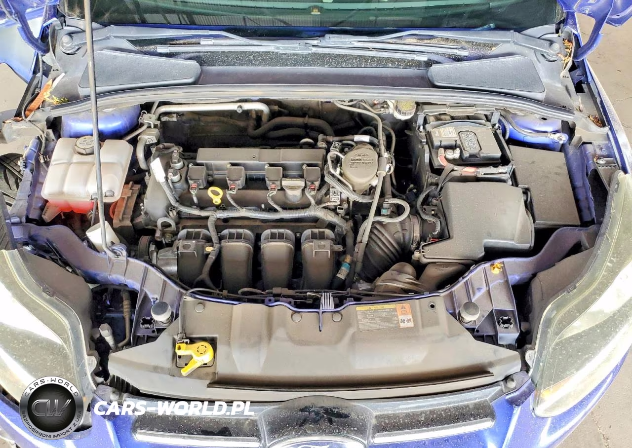 2014 Ford Focus Titanium VIN:1FADP3J2XEL199021 - 11