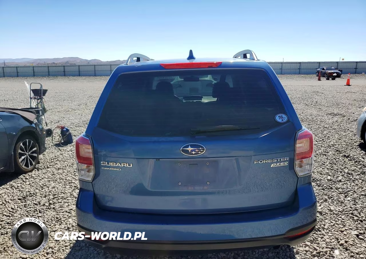 2017 Subaru Forester 2.5I VIN:JF2SJABC3HH447200 - 6