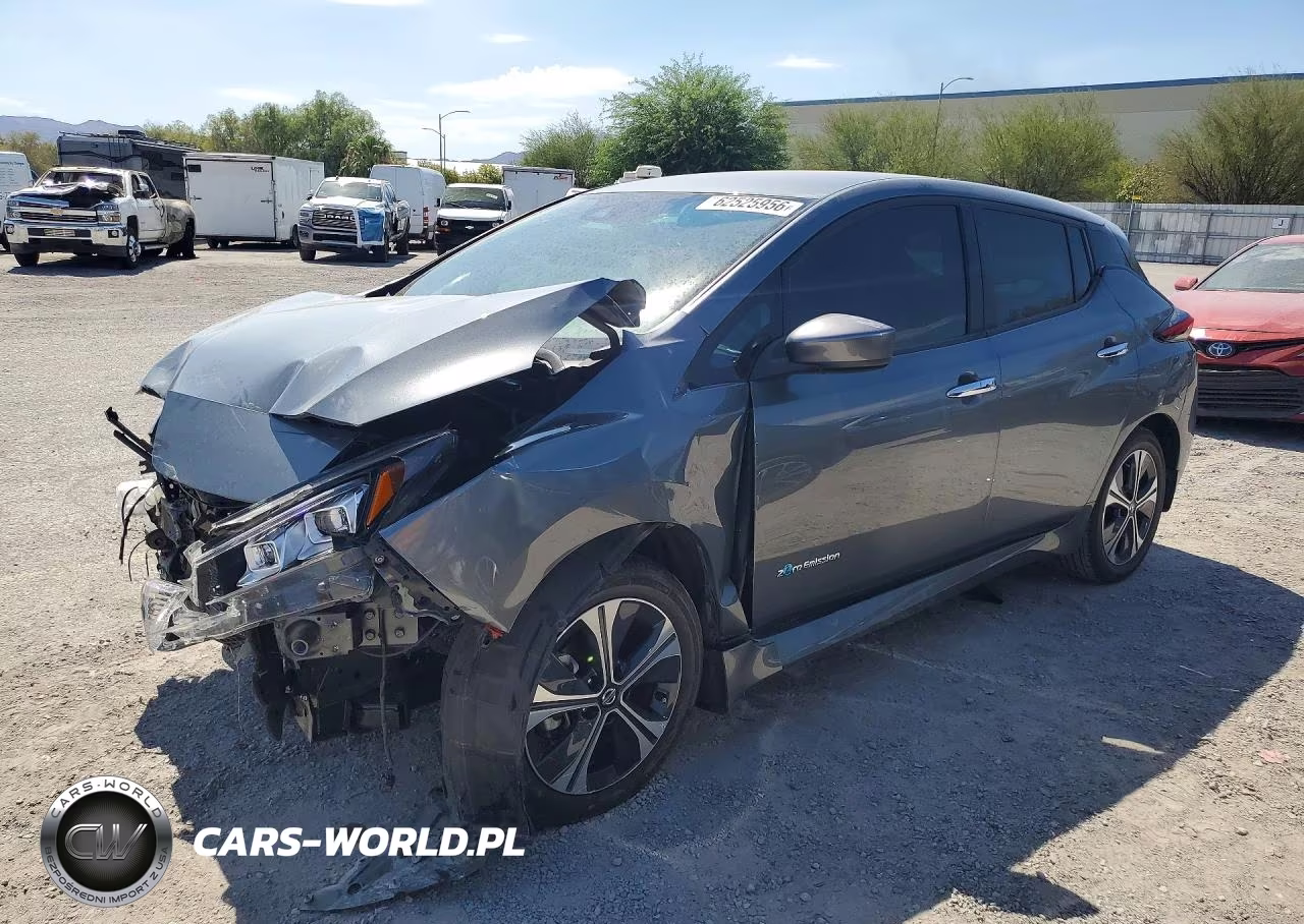 2019 Nissan Leaf Sv Plus