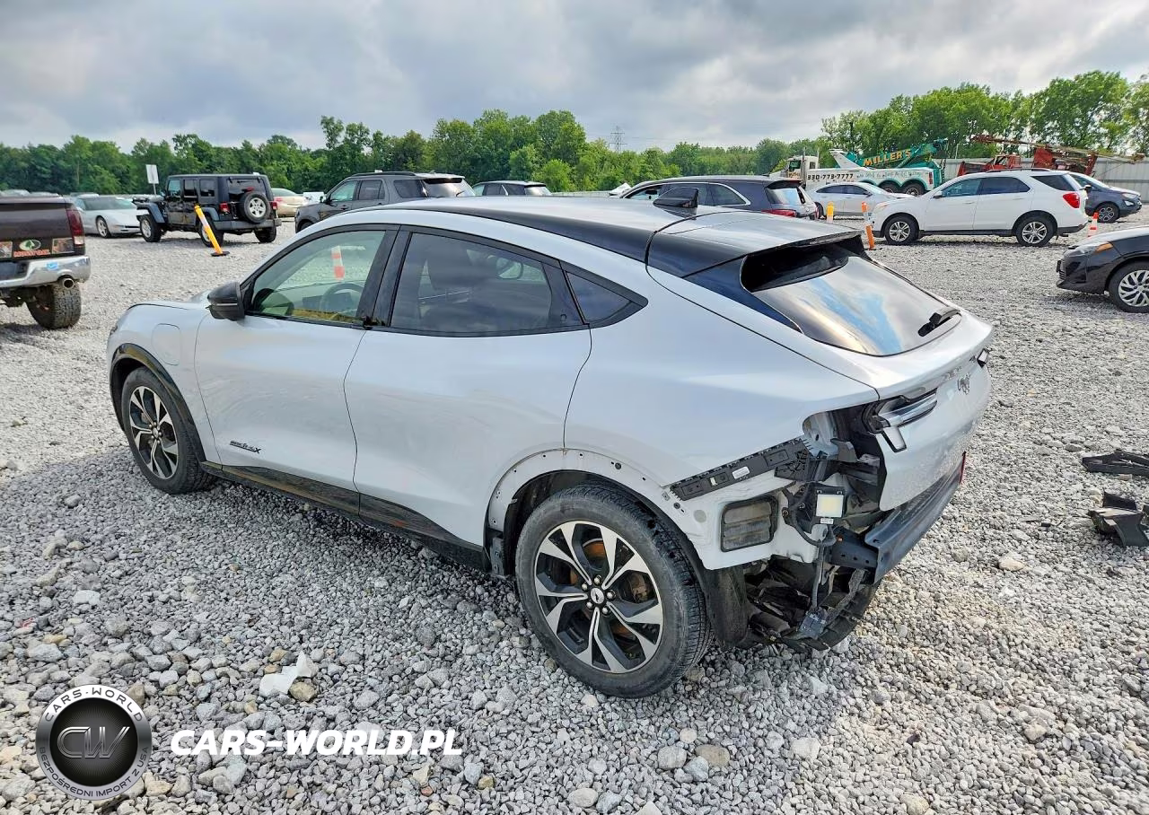 2021 Ford Mustang Mach-E Premium VIN:3FMTK3SU3MMA01201 - 2