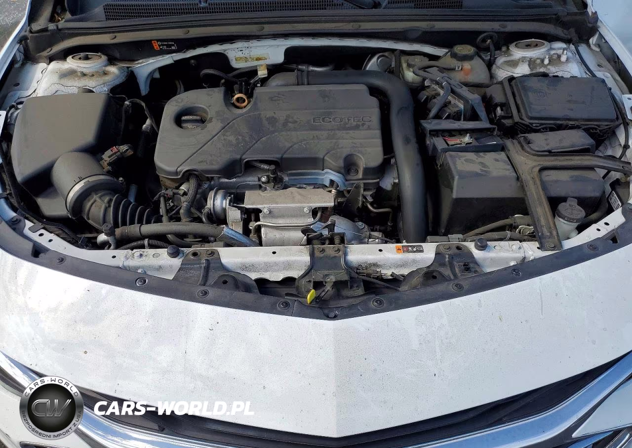 2021 Chevrolet Malibu Lt VIN:1G1ZD5ST9MF006844 - 11