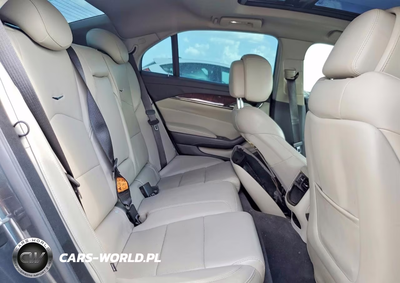 2014 Cadillac Cts Luxury Collection VIN:1G6AR5SX6E0125077 - 10