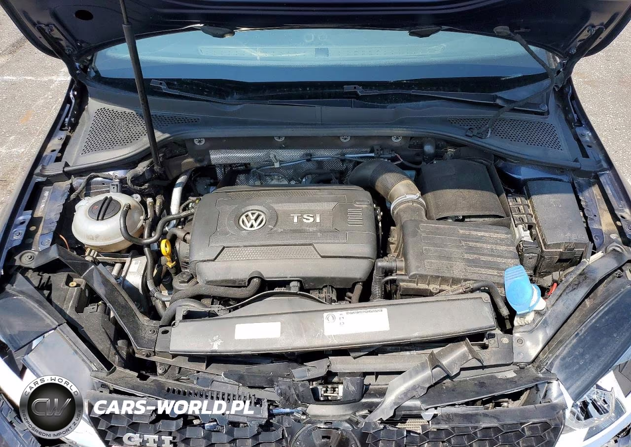 2016 Volkswagen Gti S-Se VIN:3VWYT7AU4GM002486 - 11