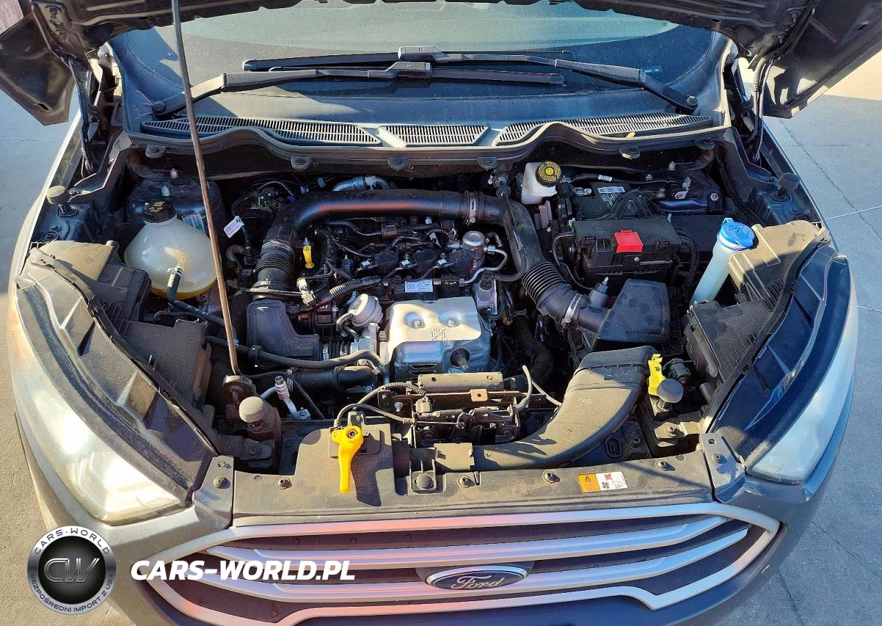 2020 Ford Ecosport Se VIN:MAJ3S2GE8LC354605 - 11