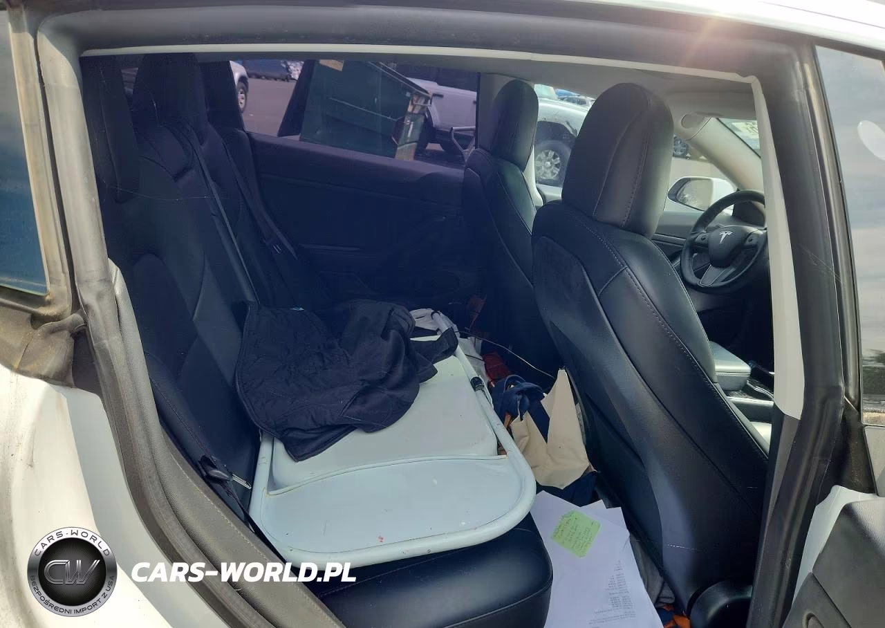 2020 Tesla Model 3 VIN:5YJ3E1EA0LF659076 - 10