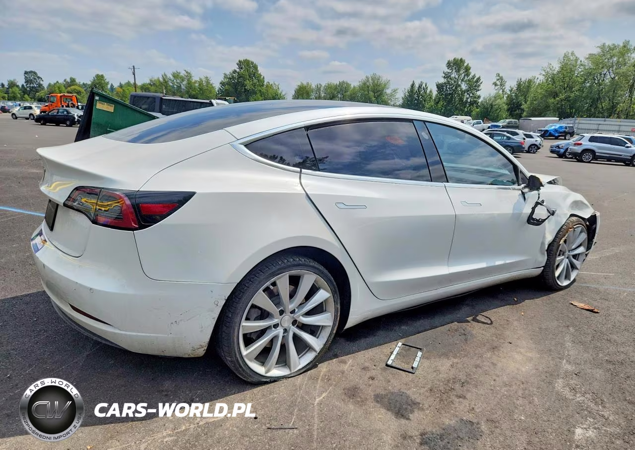 2020 Tesla Model 3 VIN:5YJ3E1EA0LF659076 - 3
