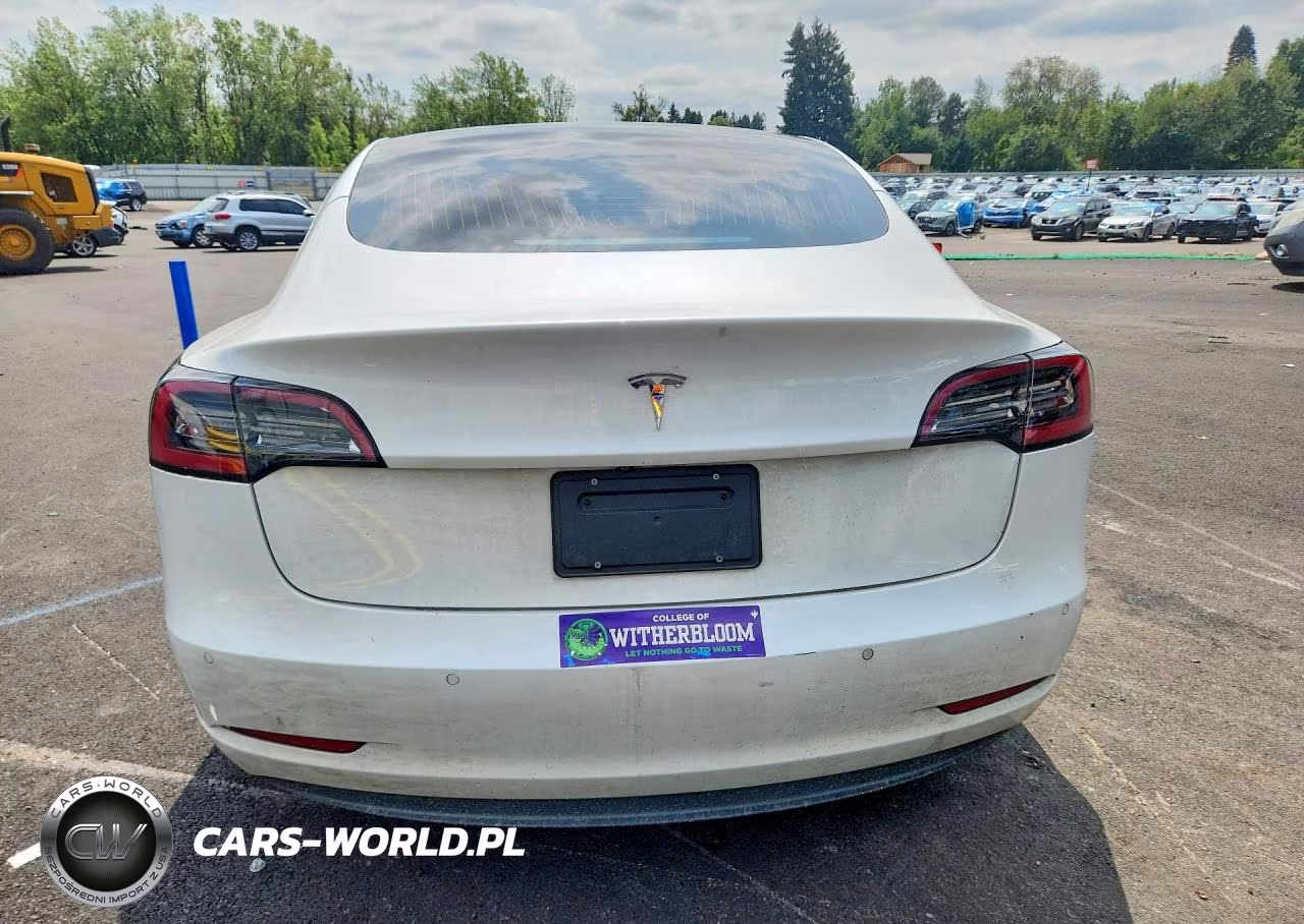2020 Tesla Model 3 VIN:5YJ3E1EA0LF659076 - 6