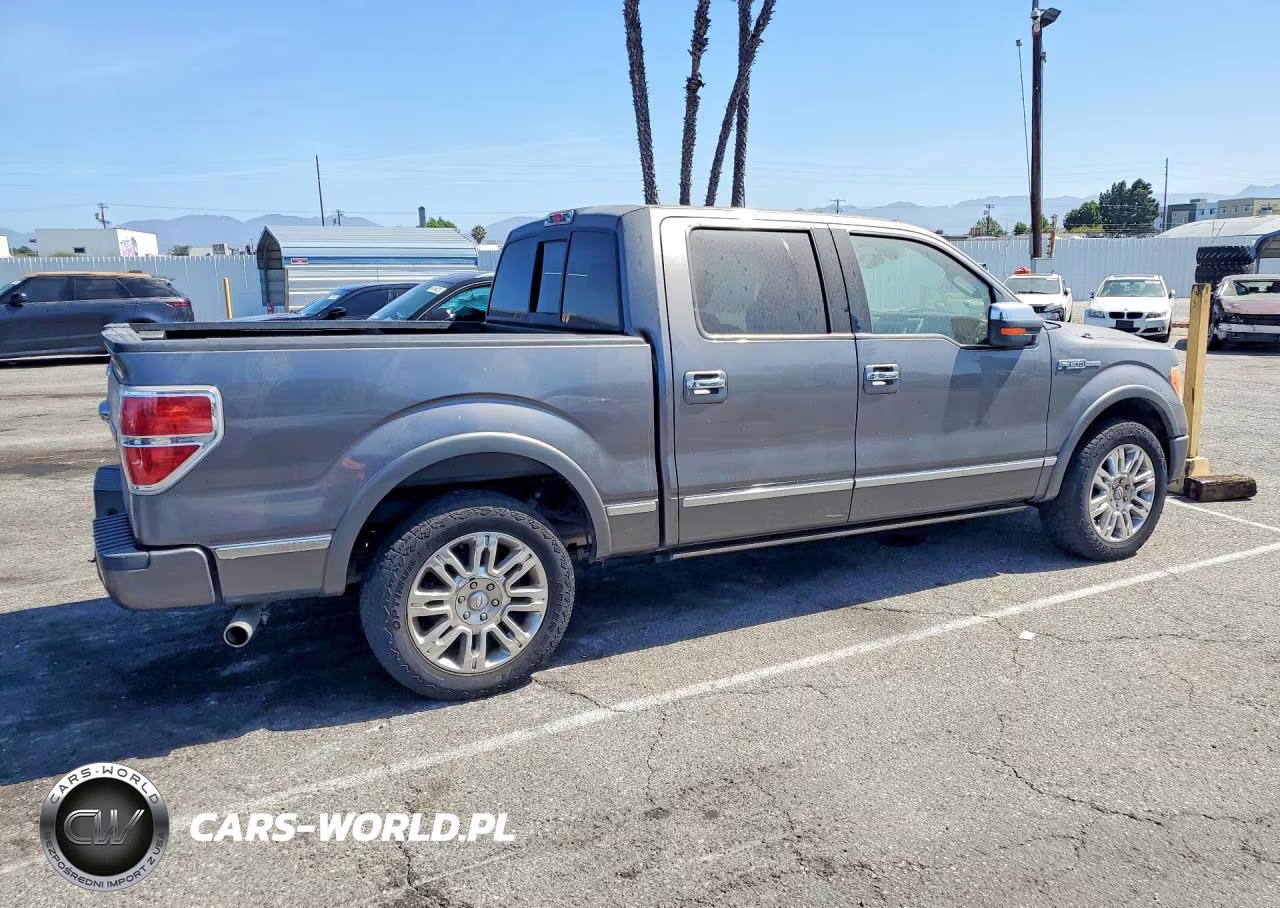2009 Ford F150 Supercrew VIN:1FTPW12VX9FB06090 - 3