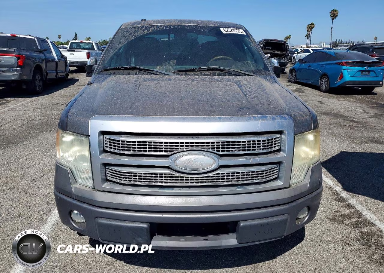 2009 Ford F150 Supercrew VIN:1FTPW12VX9FB06090 - 5