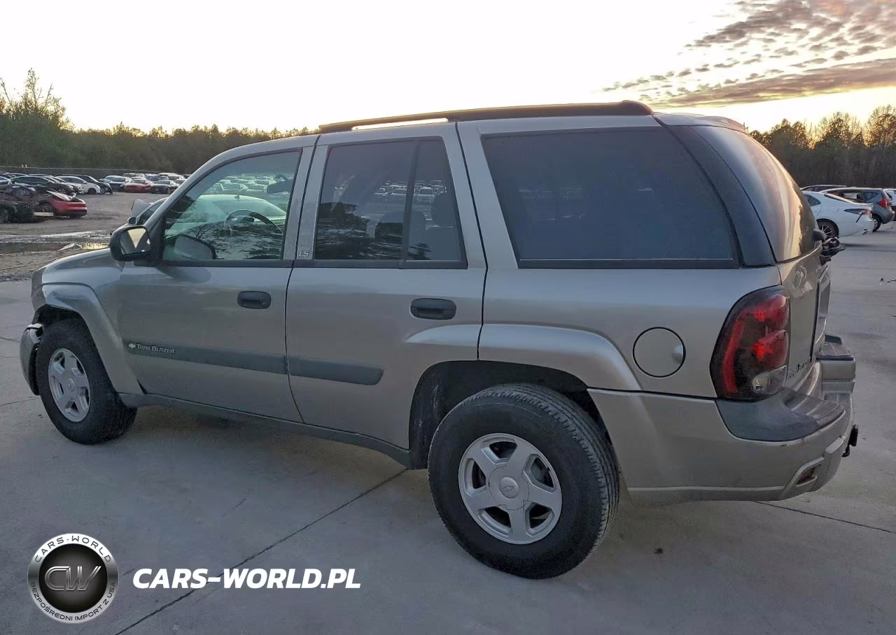 2003 Chevrolet Trailblazer VIN:1GNDS13SX32193160 - 2