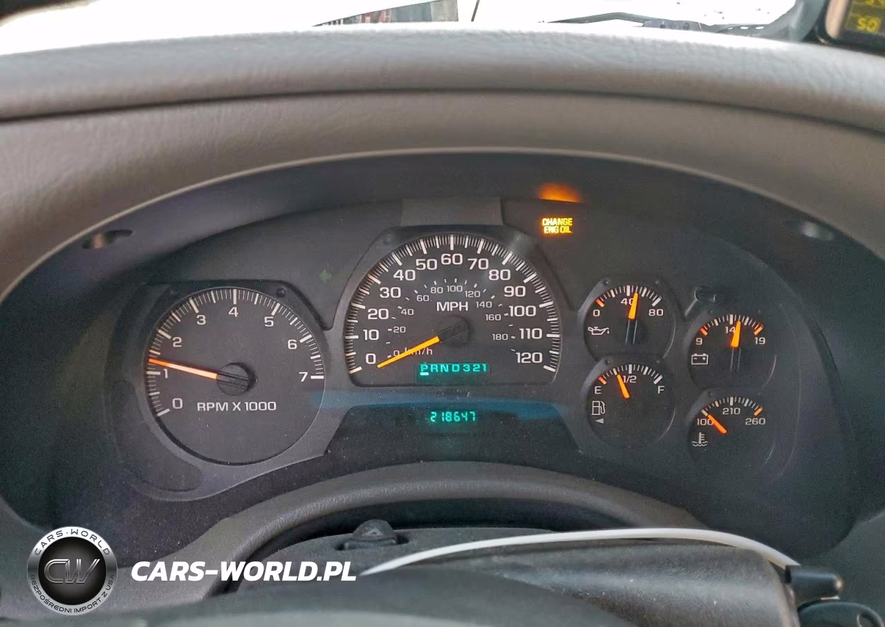 2003 Chevrolet Trailblazer VIN:1GNDS13SX32193160 - 9