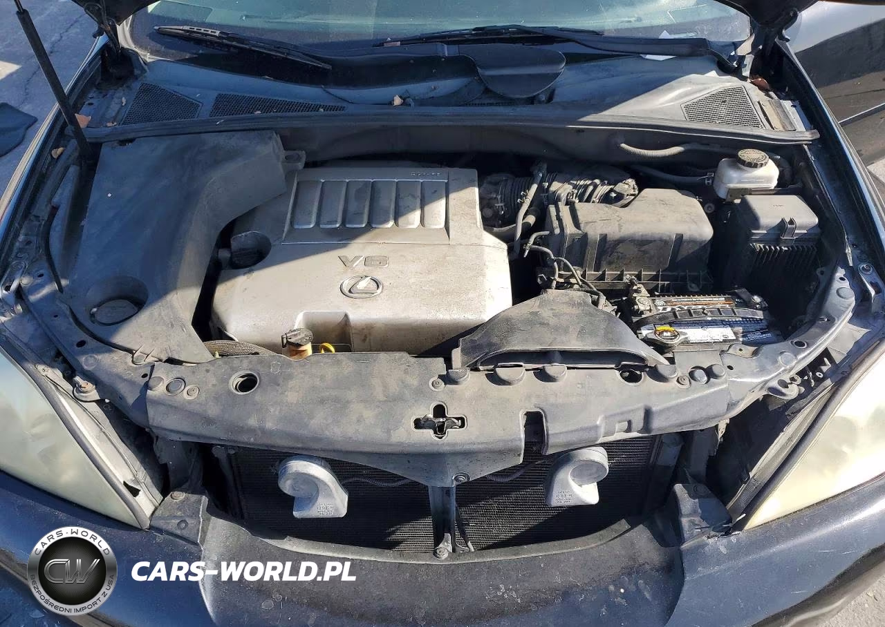 2009 Lexus Rx 350 VIN:2T2GK31U59C070183 - 11