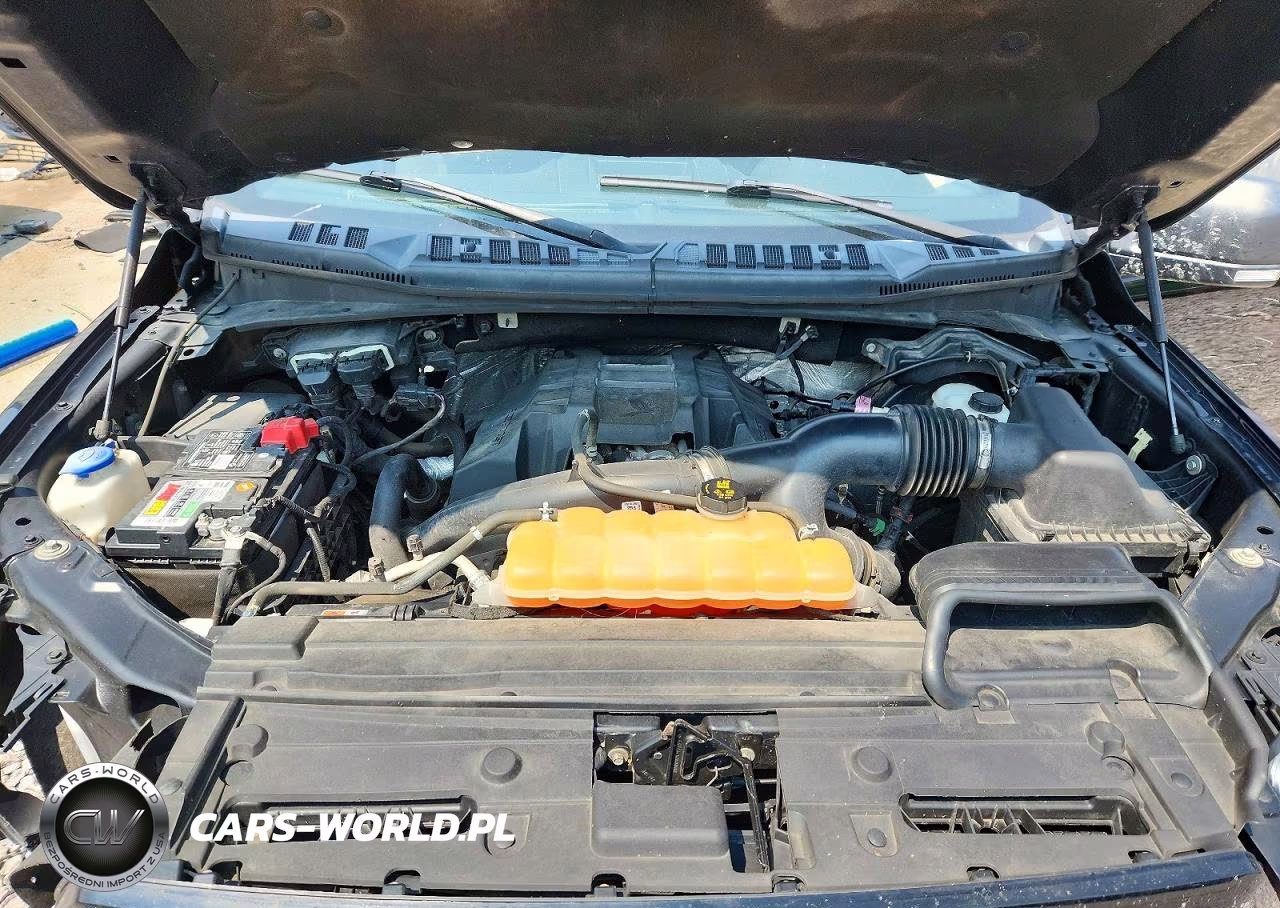 2016 Ford F150 Supercrew VIN:1FTEW1EP6GFB77353 - 11