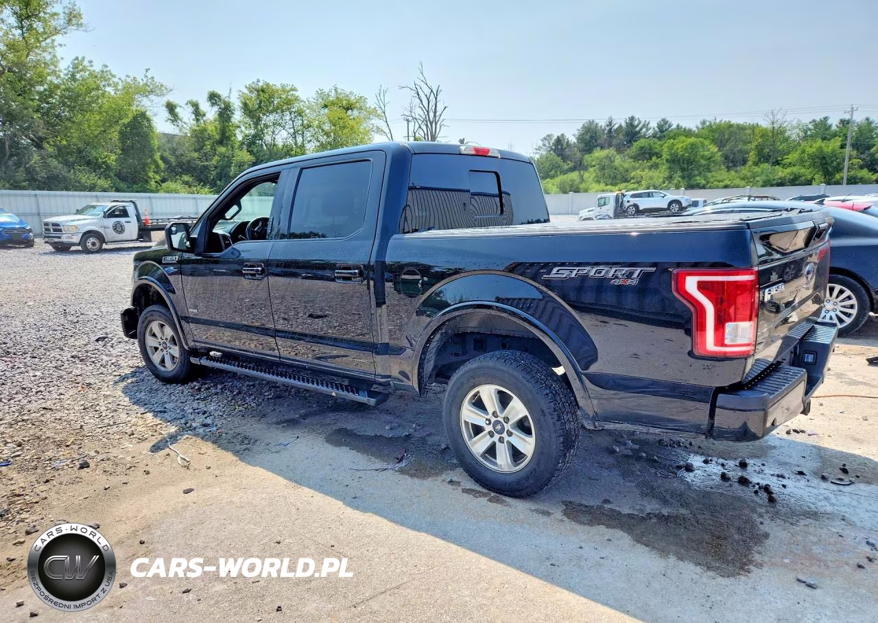 2016 Ford F150 Supercrew VIN:1FTEW1EP6GFB77353 - 2