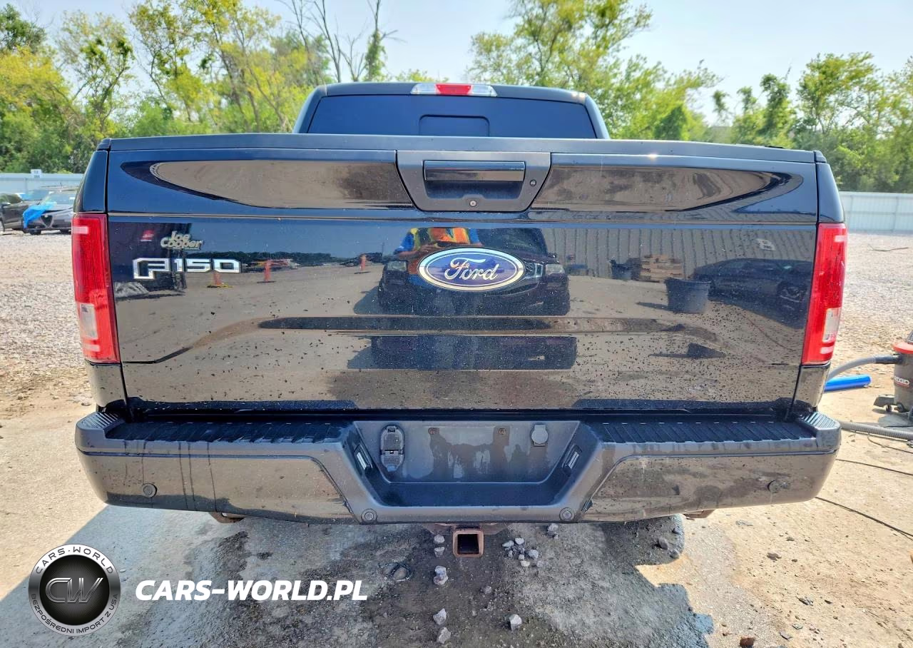 2016 Ford F150 Supercrew VIN:1FTEW1EP6GFB77353 - 6
