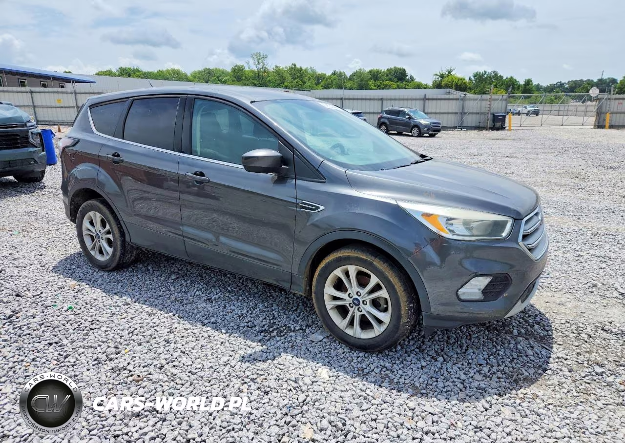 2017 Ford Escape Se VIN:1FMCU0GD5HUD63937 - 4