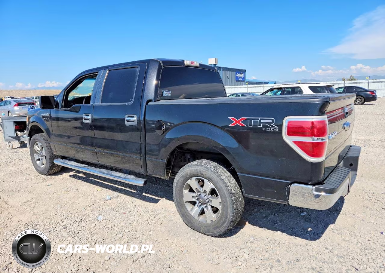 2012 Ford F150 Supercrew VIN:1FTFW1EFXCFA31849 - 2