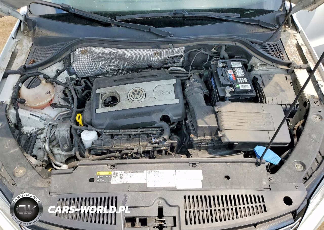 2017 Volkswagen Tiguan Wolfsburg VIN:WVGSV7AX2HK008899 - 12