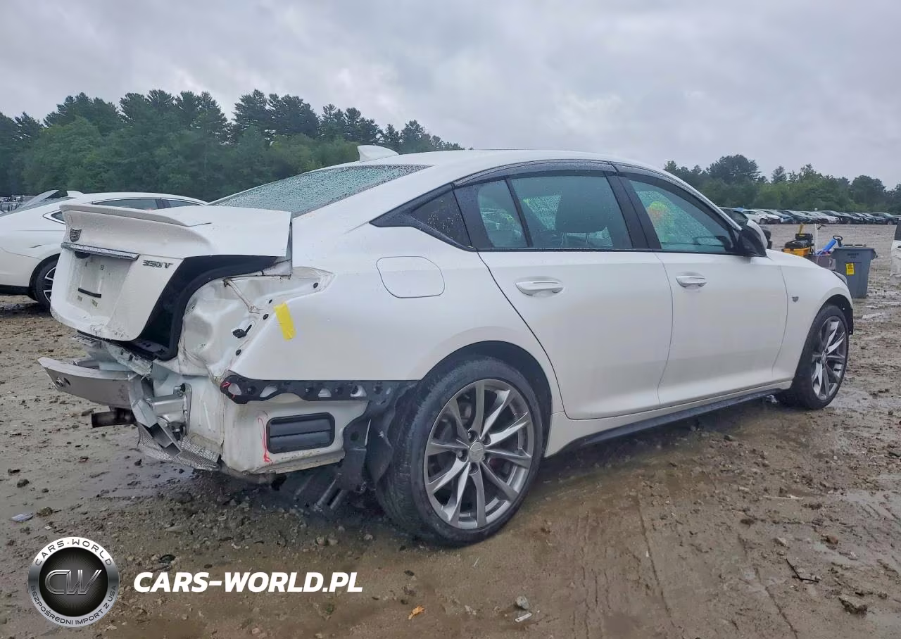 2020 Cadillac Ct5 Sport VIN:1G6DU5RK8L0119686 - 3