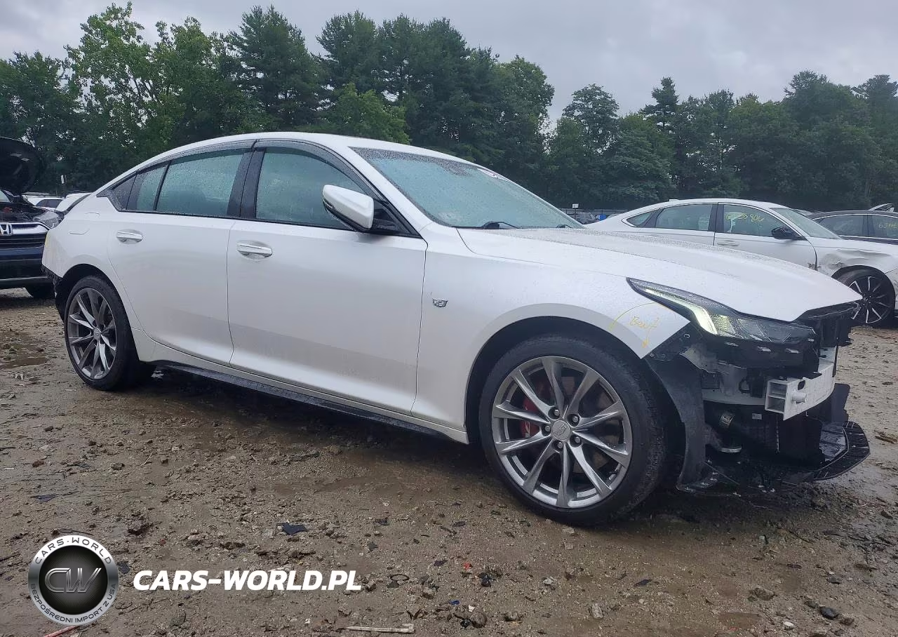 2020 Cadillac Ct5 Sport VIN:1G6DU5RK8L0119686 - 4