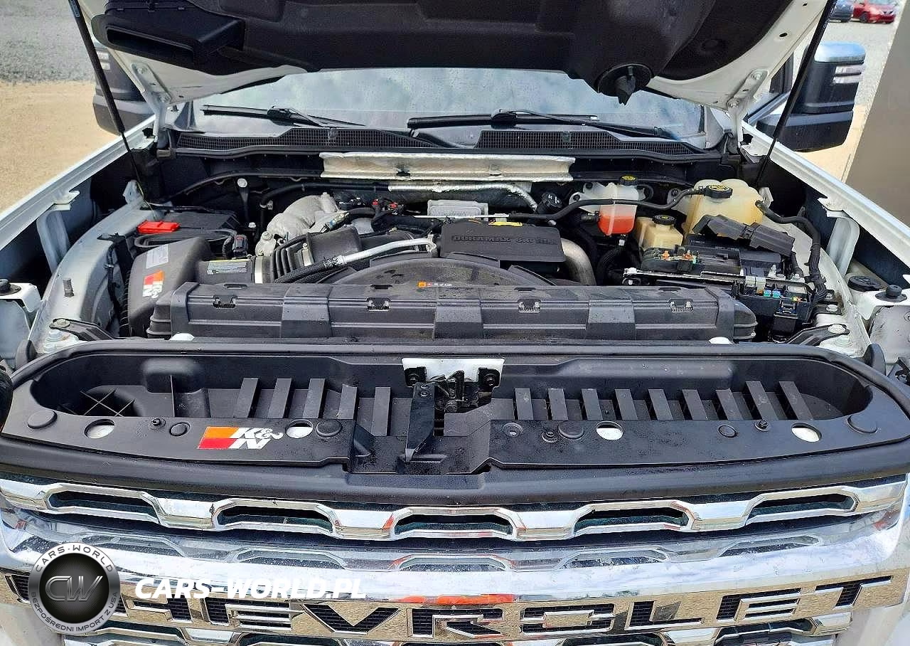2020 Chevrolet Silverado K2500 Heavy Duty Lt VIN:1GC4YNEY1LF340815 - 11
