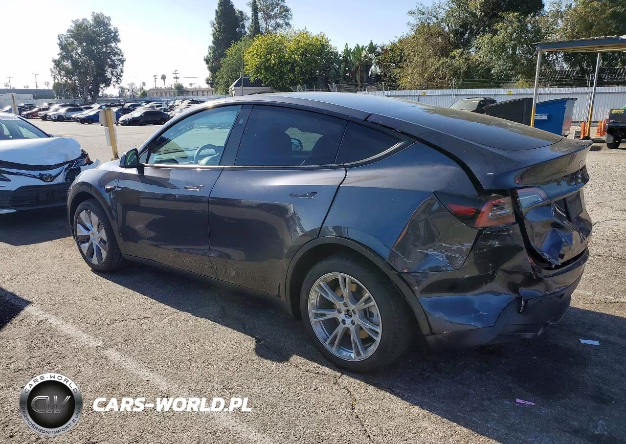 2024 Tesla Model Y VIN:7SAYGDEE0RA255529 - 2