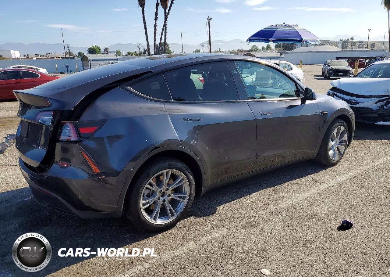 2024 Tesla Model Y VIN:7SAYGDEE0RA255529 - 3