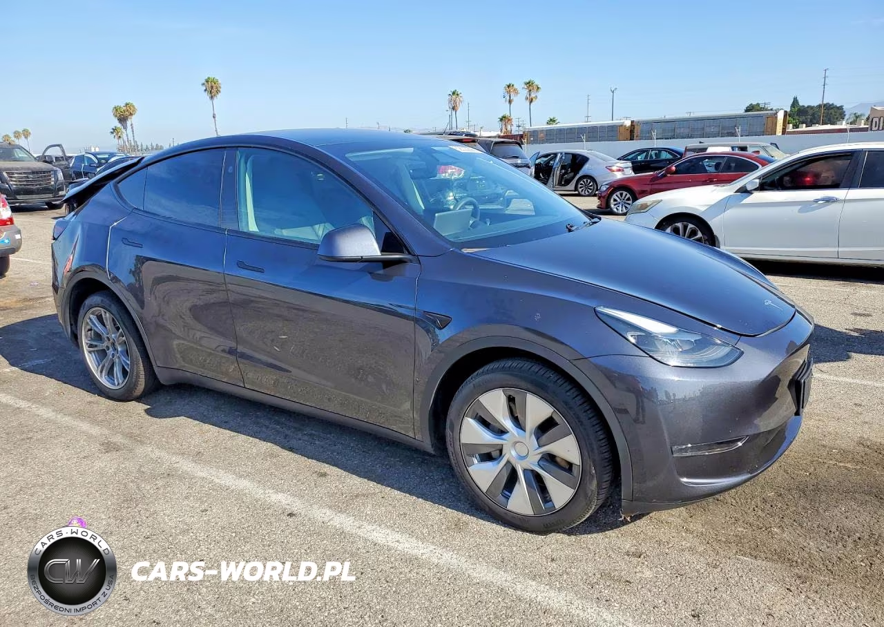 2024 Tesla Model Y VIN:7SAYGDEE0RA255529 - 4