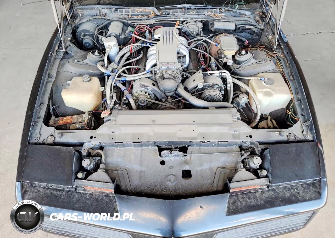 1982 Pontiac Firebird Trans Am VIN:1G2AW87H9CL545473 - 11