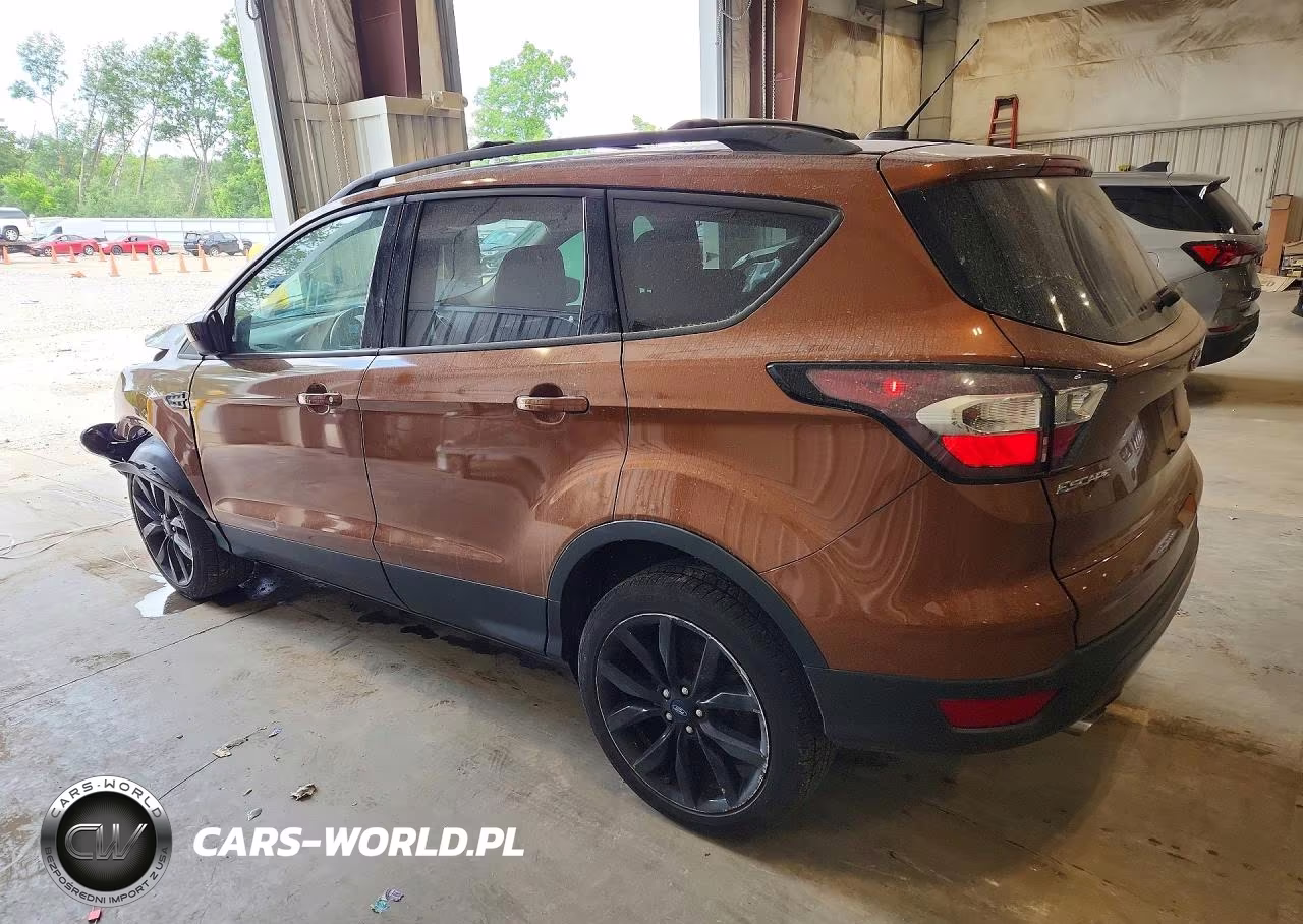 2017 Ford Escape Se VIN:1FMCU9G99HUE68058 - 2